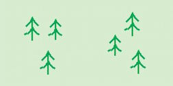 Woodland