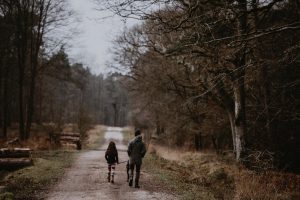 Dog walking in the woods