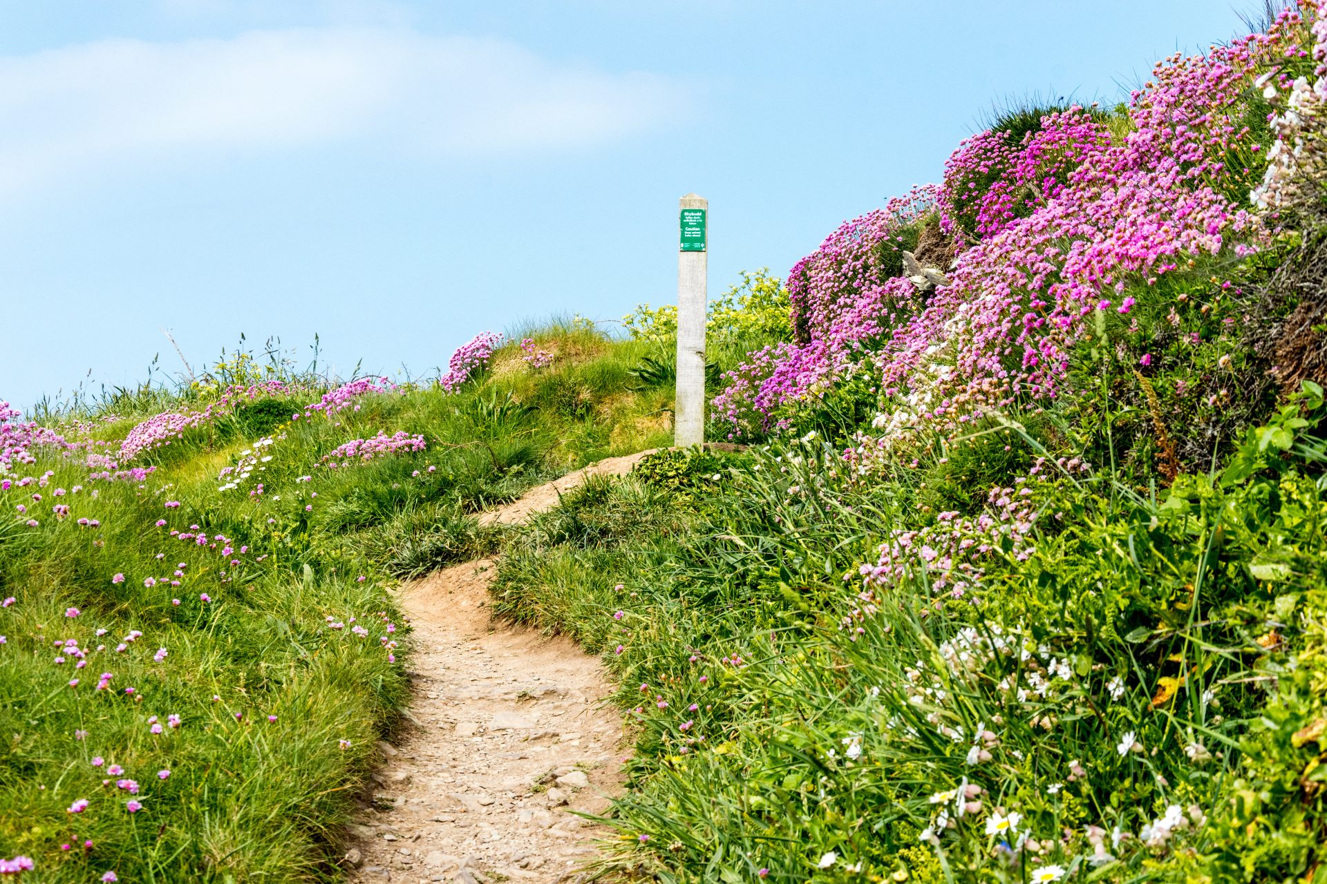Welsh coastal path walks