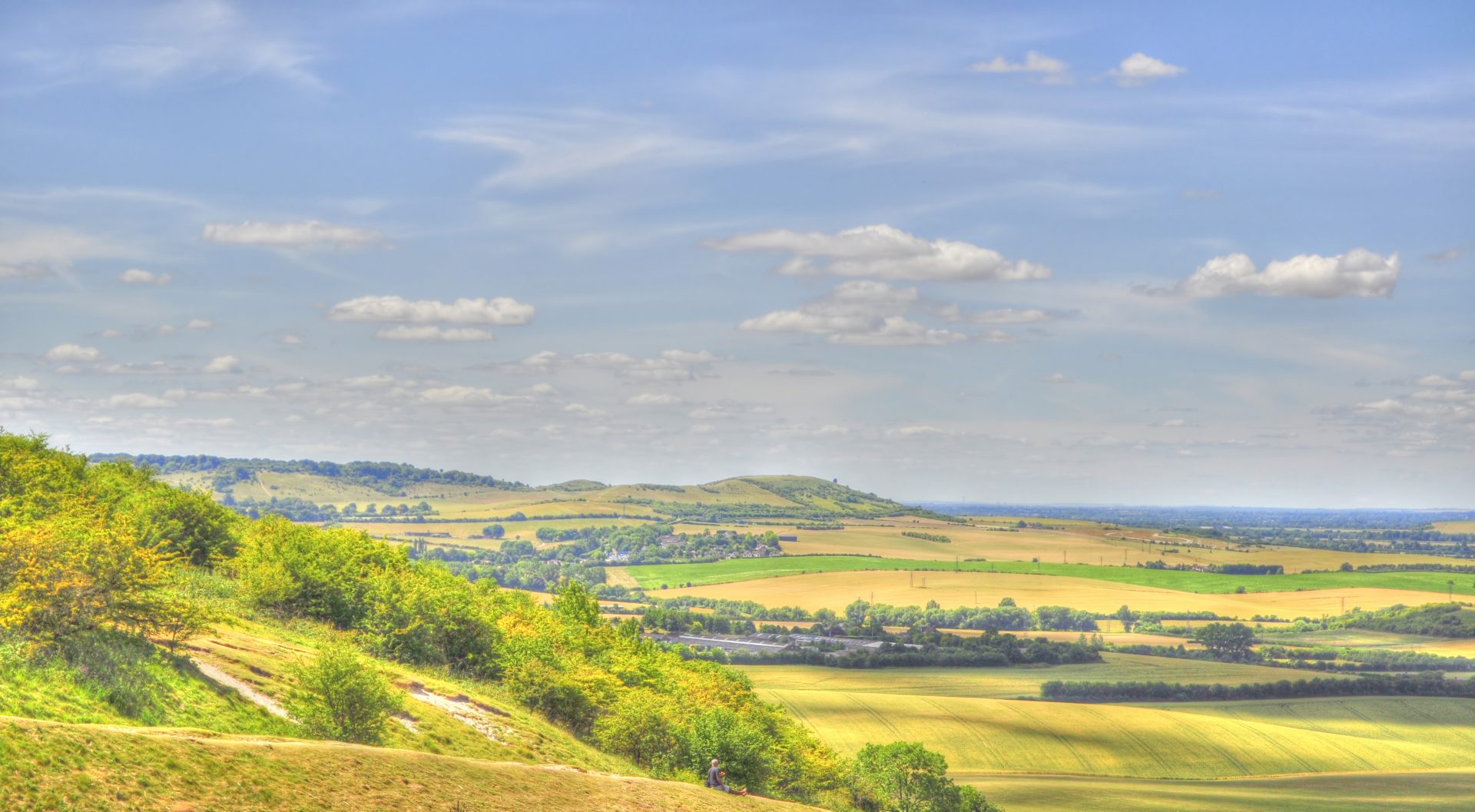 Dunstable Downs
