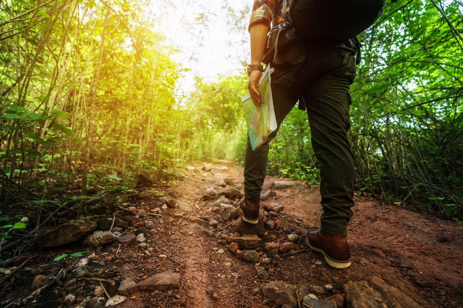 Top 10 tips for beginner walkers and hikers