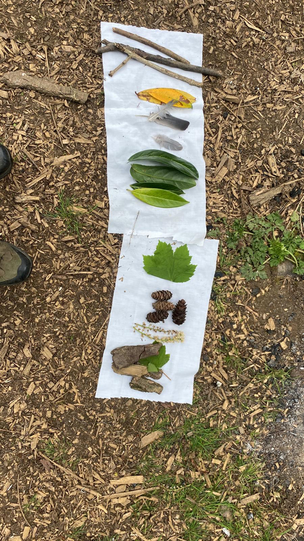 Woodland treasure hunt