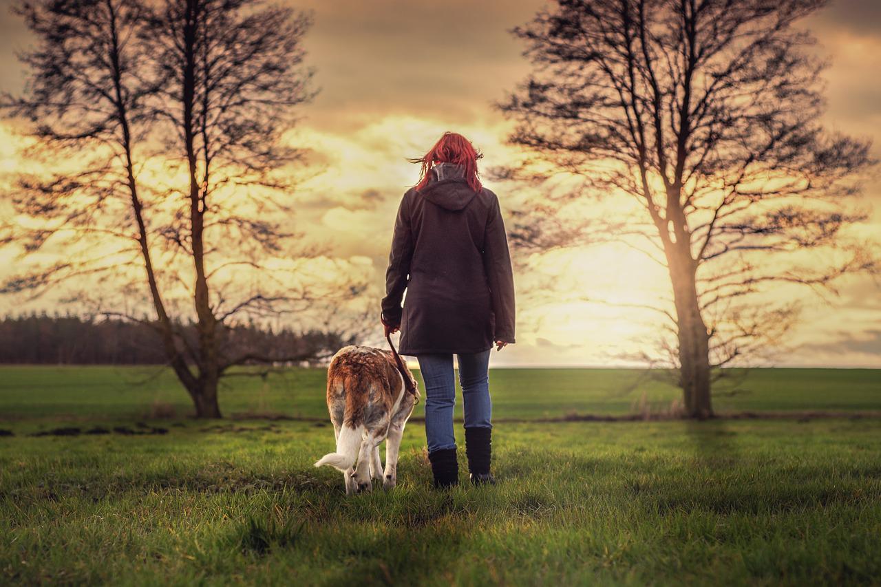 Discover Slow Ways around Britain