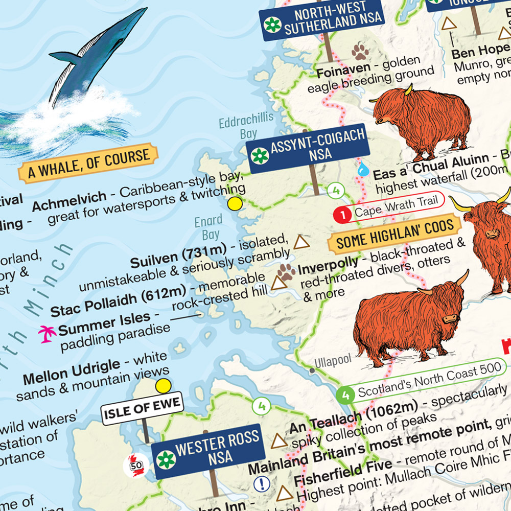 a year in maps
